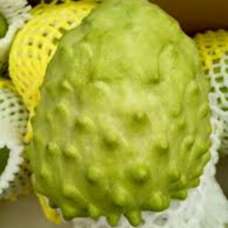 Cây na đài loan