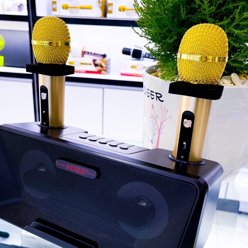 Loa Hát Karaoke Bluetooth SD-301 Kèm 2 Micro Không Dây