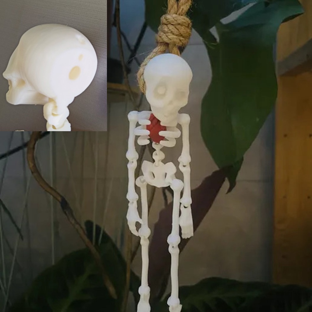 Mô hình bộ xương người linh hoạt trang trÍ, có lỗ treo phía sau đầu - IN3D.INDINI