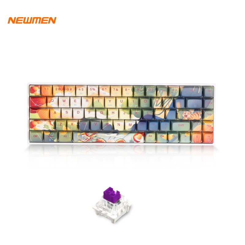 Bàn phím cơ Bluetooth Lasa không dây cao cấp chính hãng cho game thủ brown switch giá rẻ loại bàn phím cơ Newmen GM680L2