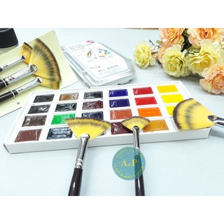 Bộ Cọ Quạt Golden Maple