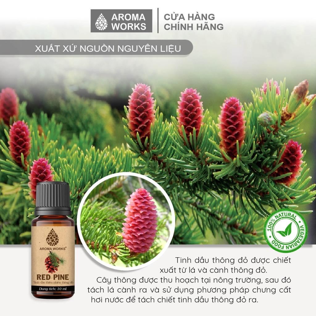 Tinh Dầu Thông Đỏ Thiên Nhiên Xông Phòng, Khử Mùi, Thanh Lọc Không Khí, Giảm Căng Thẳng Aroma Works Red Pine