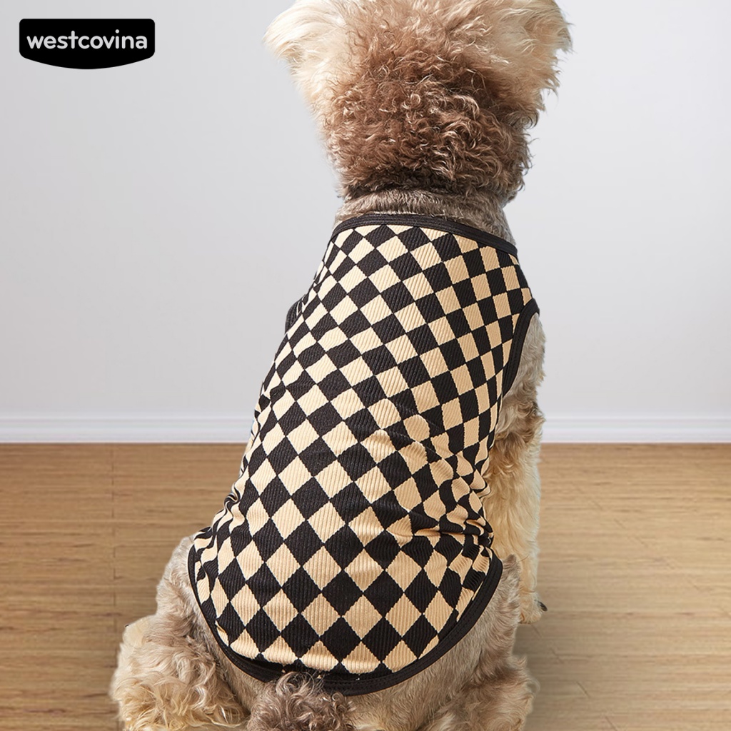 (MớI) Áo Thun ThờI Trang MùA Hè Cho Thú Cưng