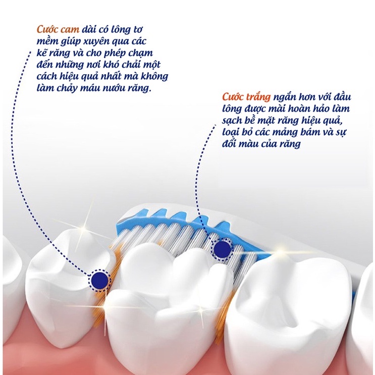 Bàn Chải Đánh Răng Lông Tơ Siêu Mềm Trisa Pro Interdental