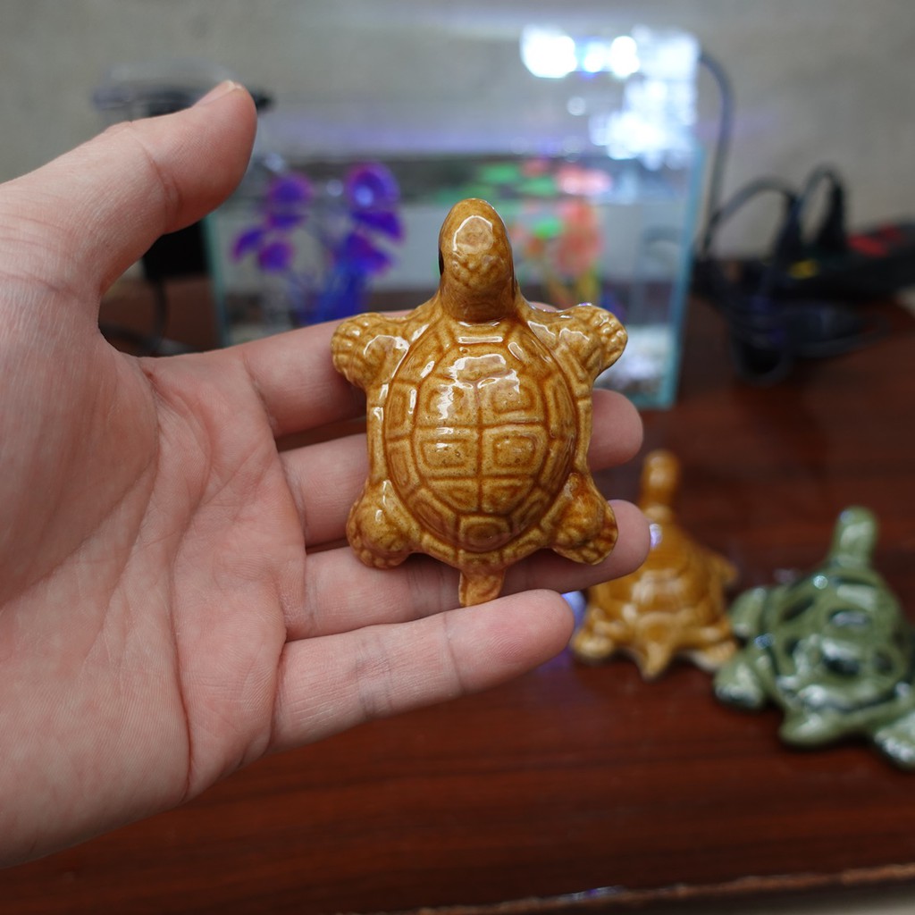 Phụ kiện trang trí bể cá: Rùa cỡ vừa