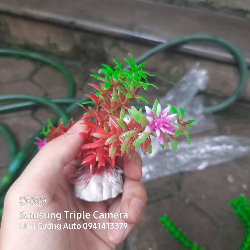 Mô hình trang trí cây nhựa cho bể cá cảnh, bể cá cao cấp