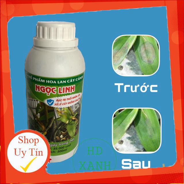 - Chế phẩm ngọc linh đặc trị thối nhũn 500ml chất.