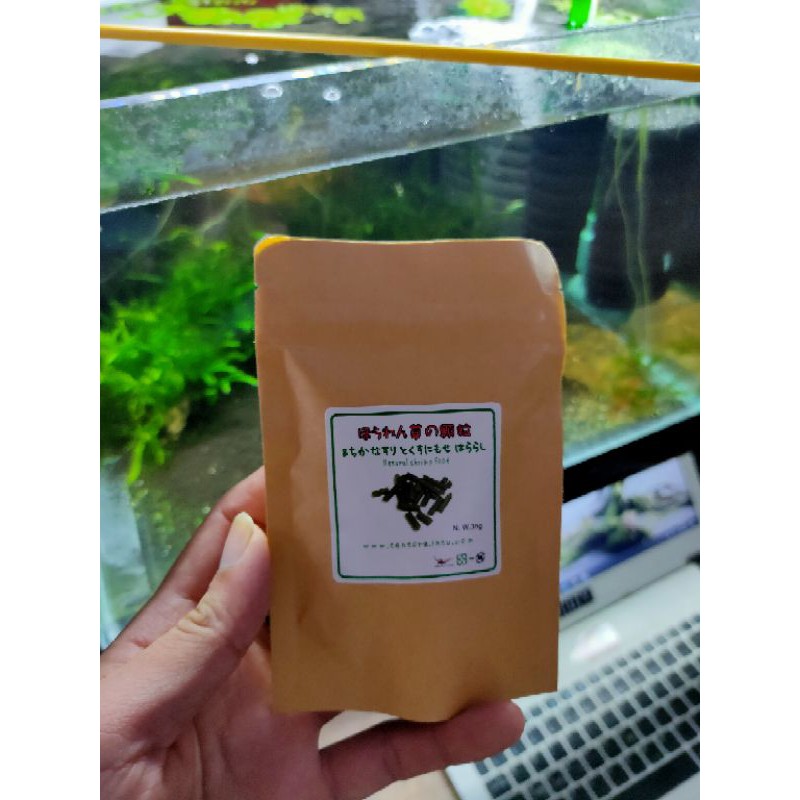 Rau Bina - Thức Ăn Cho Tép Cảnh - Nhật Bản