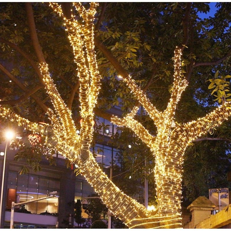 Dây đèn led trang trí 50 Mét, Đèn trang trí led kim cương cuốn dây cao cấp