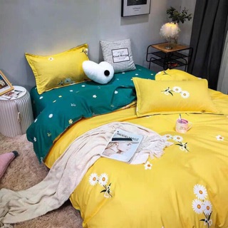 Set ga gối 240k