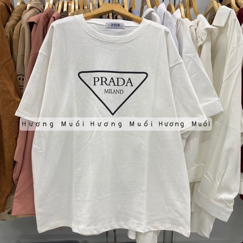 Áo thun chữ PRA MILAND - thun 3158