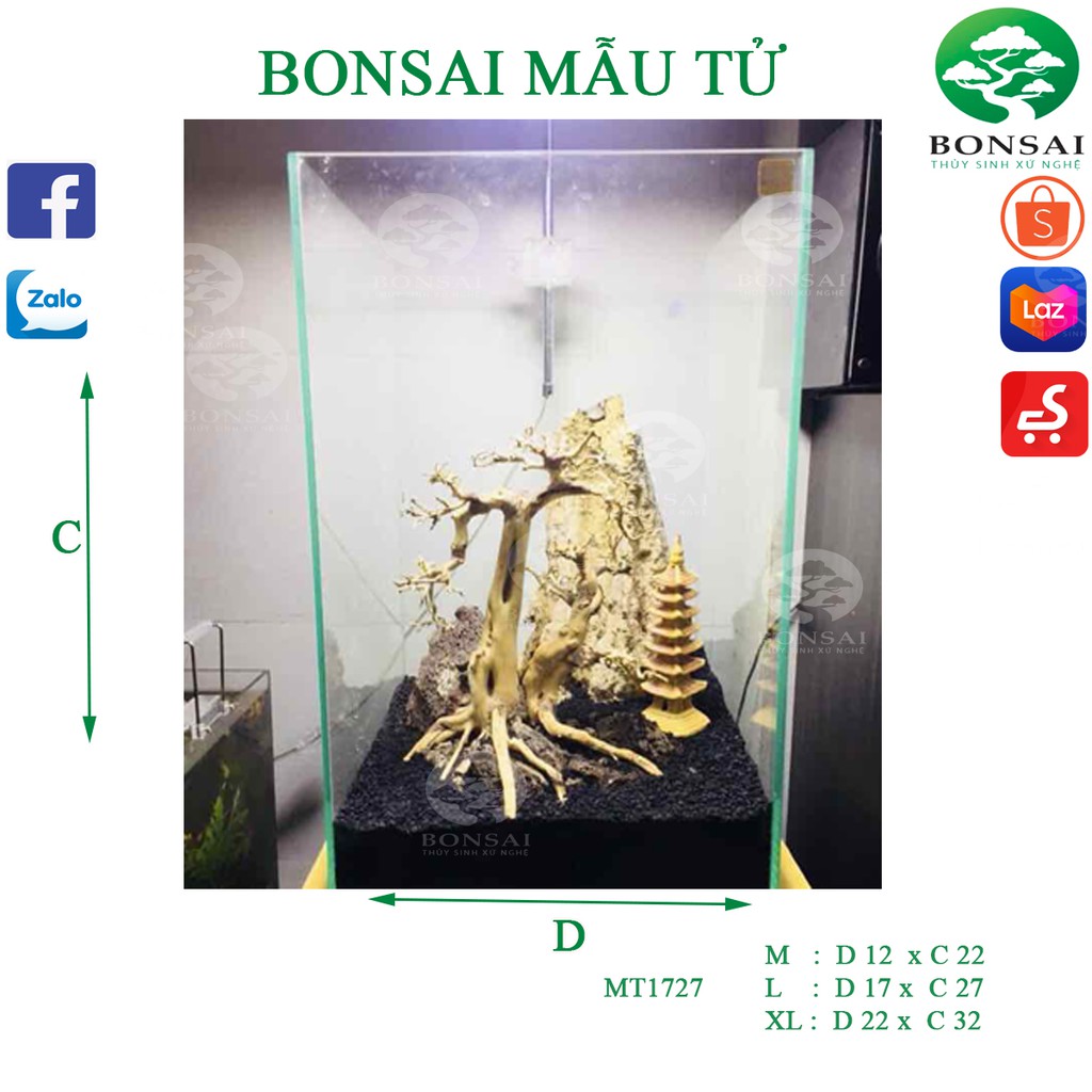 Bonsai Mẫu Tử Trang trí bể cá thủy sinh | Bể Cubic