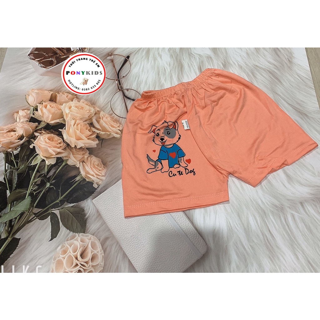 Quần đùi chục cho bé trai , bé gái chất cotton thoáng mát mùa hè