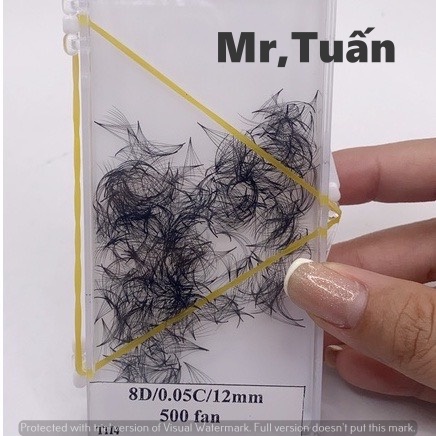 MI FAN 8D CONG C-D - DÀY 0.05 - HỘP 500 FAN_dụng cụ nối mi_mr Tuấn