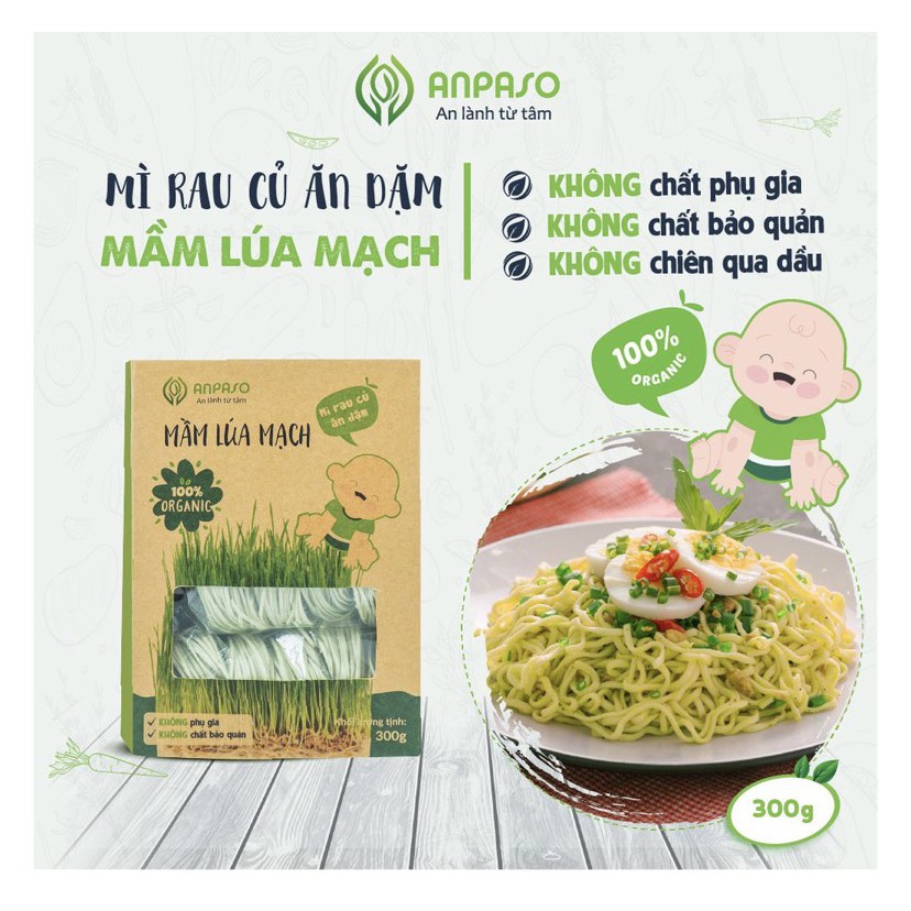 Mì ăn dặm hữu cơ cho bé mầm lúa mạch Organic Anpaso 300g