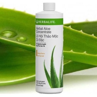 Lô hội thảo mộc cô đặc aloe hương vị xoài