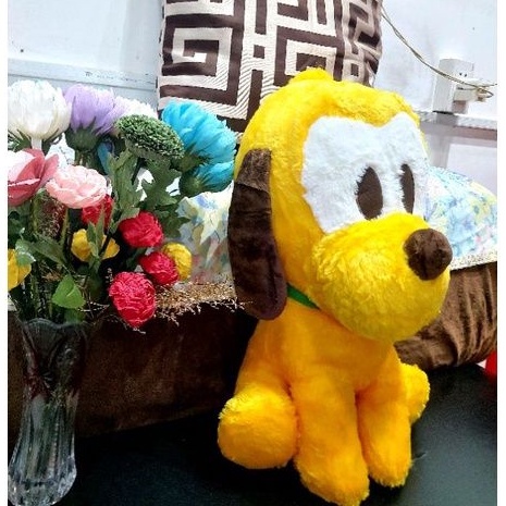 Chó bông lông xù màu vàng siêu đẹp