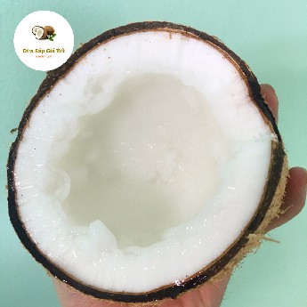 Dừa Sáp Cầu Kè loại thường ngon | BigBuy360 - bigbuy360.vn