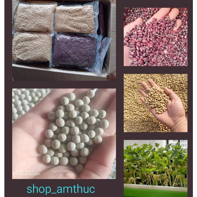 1kg đậu hà lan, đậu xanh, đậu đỏ, đậu đen, đậu nành (gieo rau mầm, ủ giá đỗ, nấu chè, làm sữa hạt, bột ngũ cốc...)
