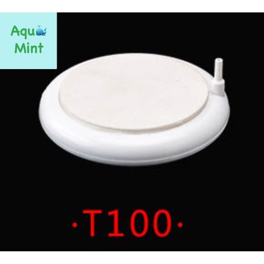 Sủi Oxy Đĩa Siêu Mịn T100
