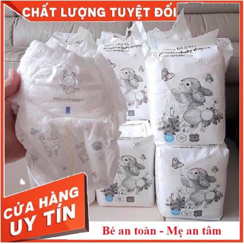 TÃ/BỈM MOMO RABBIT DÁN QUẦN S36/M30/L28/XL36