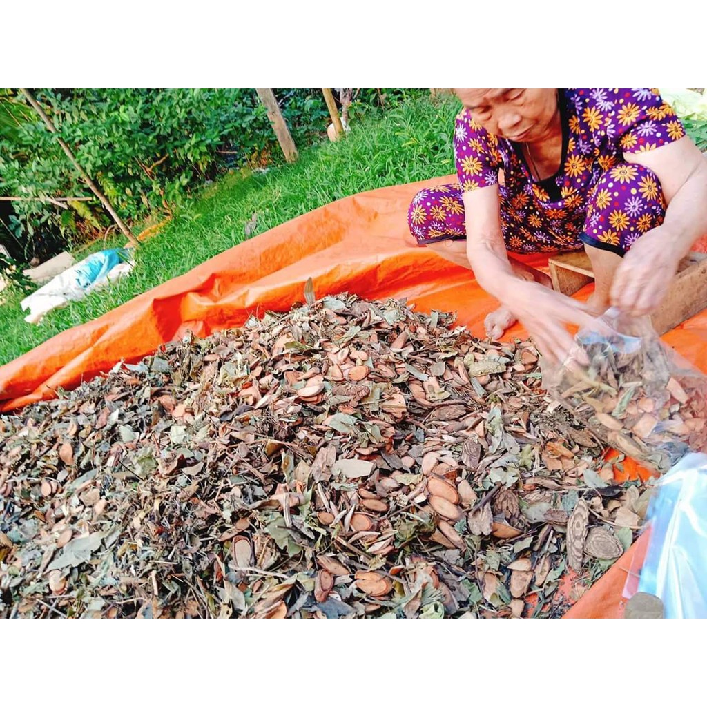 Lá Xông và Tắm Dân tộc giao đỏ