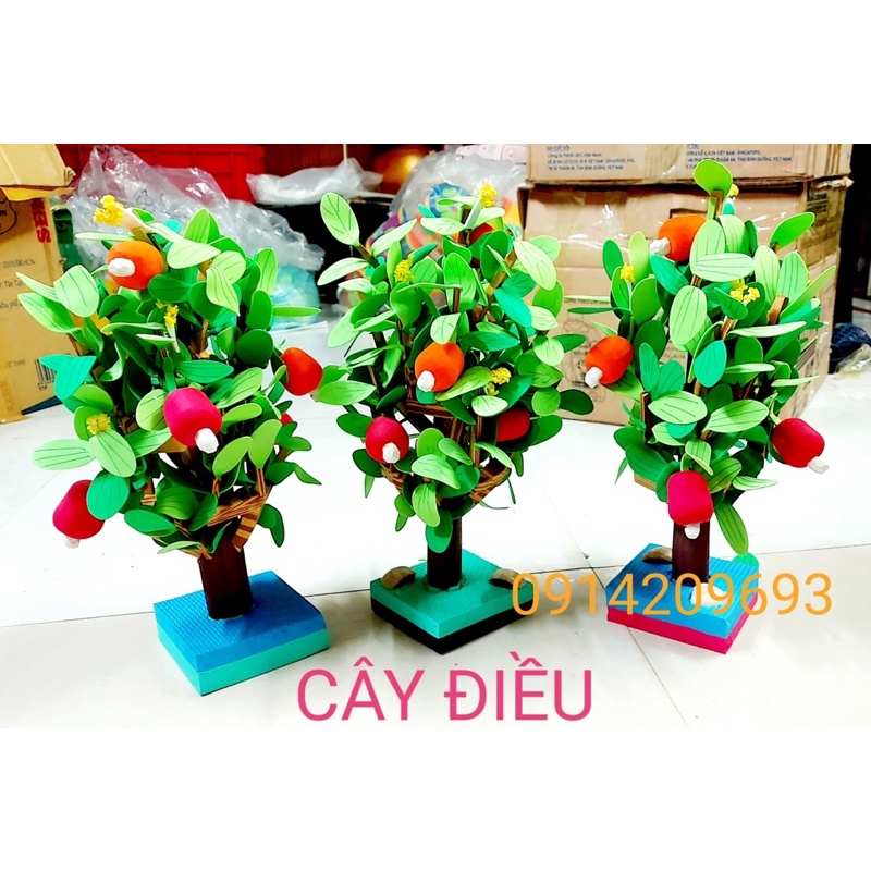 CÂY ĂN QUẢ - CÂY HOA XỐP - Đồ chơi mầm non