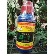 Vitamin B1 thái Lan Chai 1000ml