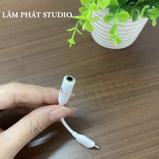 Jack Chuyển Đổi Type C Sang 3.5mm Chính Hãng Samsung