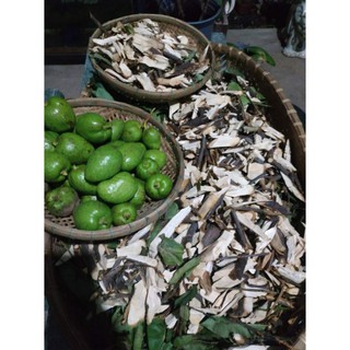 Trà Cây bình bát khô - hỗ trợ lao phổi nặng 1 kg