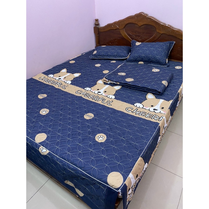 🚬 🌟Bộ Ga Phủ Hello kitty Kèm 2 Vỏ Gối Coton Trần Bông Dày Dặn 🍀1m6/1m8/2m2 - Drap xẻ góc trùm đệm