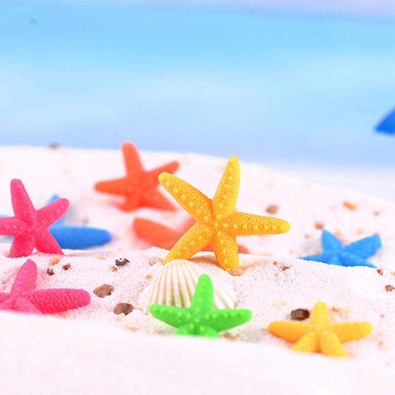 Set 10 sao biển mini nhiều màu sắc trang trí sân vườn