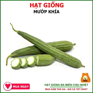 Hạt Giống Mướp Khía Sai Trái, Chịu Nhiệt 10 Hạt