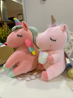 Chó Shiba, Pony hồng