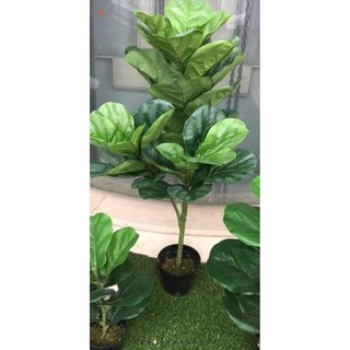 Cây bàng Singapore giả cao cấp cao 100cm (3nhánh) Giá Sỉ-Cây giả