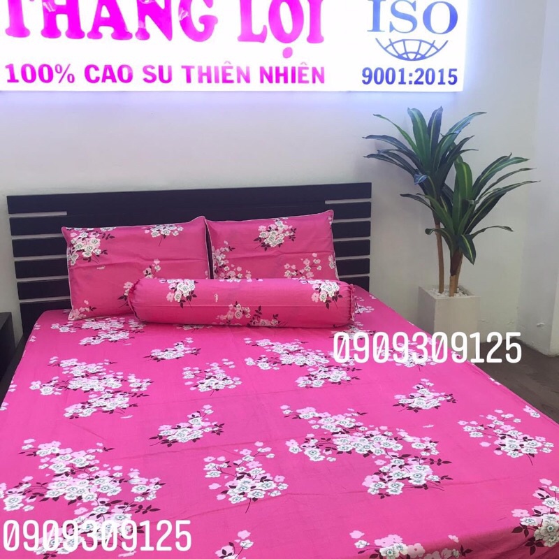 Drap Thắng Lợi,ga giường cao cấp cotton 100%, chuẩn logo (mẫu Hoa anh đào hồng)