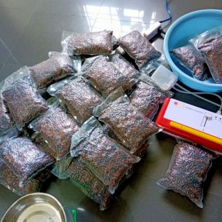 Trà đậu đen xanh lòng, gạo lứt rang date 6/2020