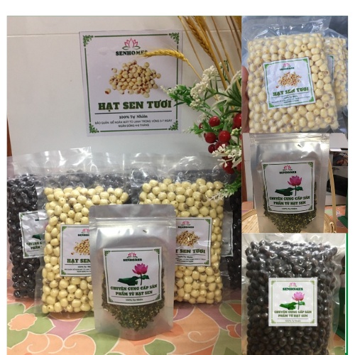0.5KG Hạt Sen Tươi Tách Vỏ - Bỏ Tim -Bùi Vị Ngọt Thanh SENHOMES GROUP