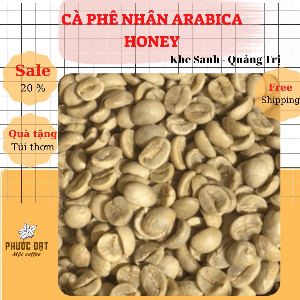 Cà Phê Arabica Honey Nhân Xanh 1kg Hạt To Đẹp Chọn Lọc, Sàng 16-18 - Cà Phê Phước Đạt Khe Sanh