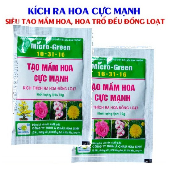 Phân Bón Kích Ra Hoa Micro-Green 16-31-16 Siêu Tạo Mầm Hoa