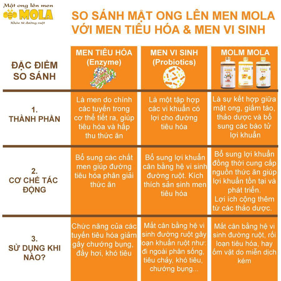 Mật Ong Lên Men MOLA - Dạ Dày 260g - 410g