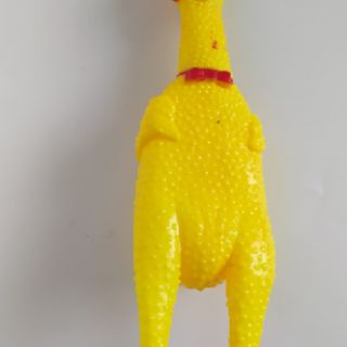 Thú cao su bóp kêu