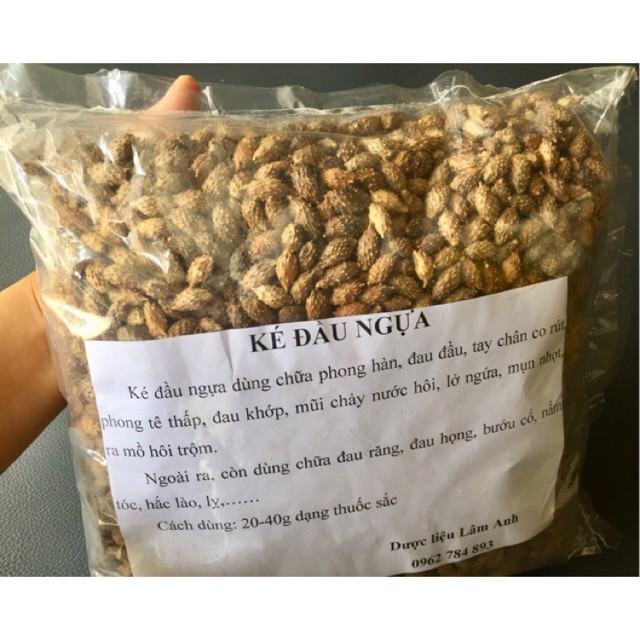 1kg Ké đầu ngựa