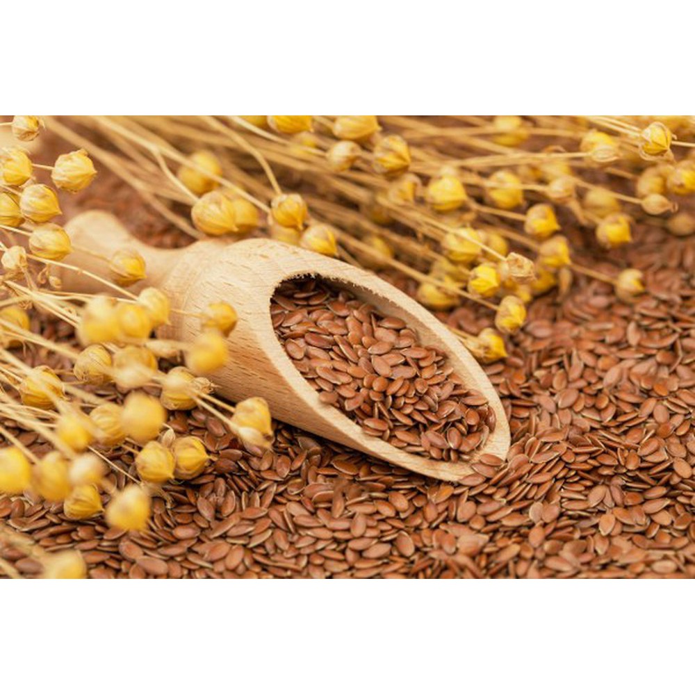 Hạt Lanh Canada Loại 1 Túi 500G | Shopee Việt Nam