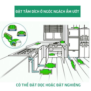 Bẫy gián gokiburi HOIHOI nhật bản diệt gián và các loại côn trùng hộp 3 miếng