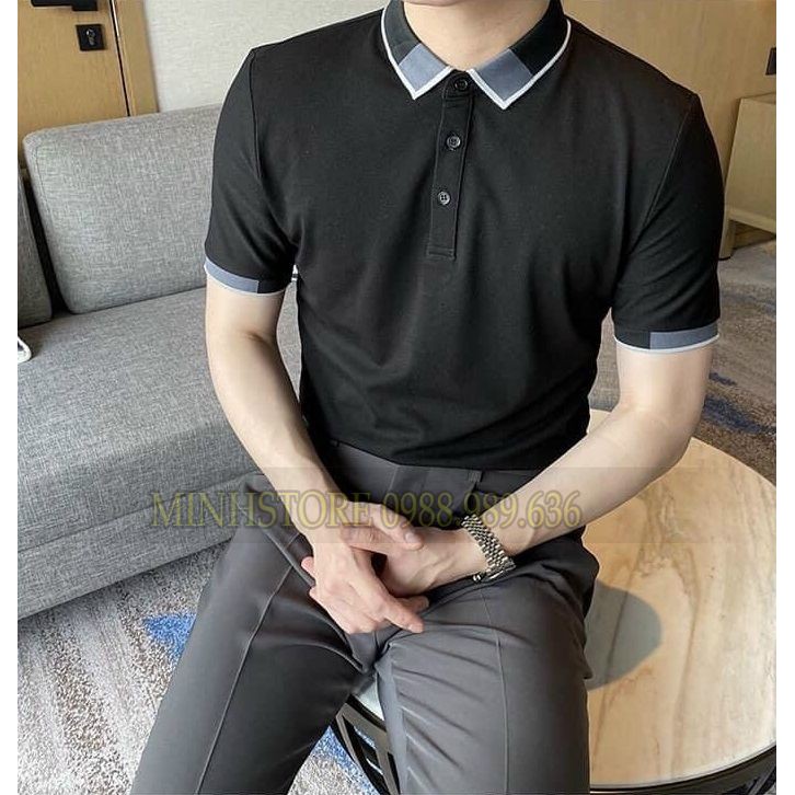 Áo polo nam GẤU Áo polo nam đẹp Chất liệu cotton mềm mịn, dầy dặn, hoạt động thoải mái, thấm hút mồ hôi tốt | BigBuy360 - bigbuy360.vn