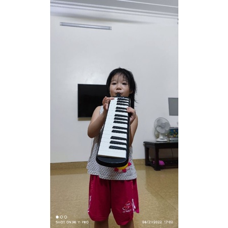 Ken melodica 32 phím -  nhiều mẫu