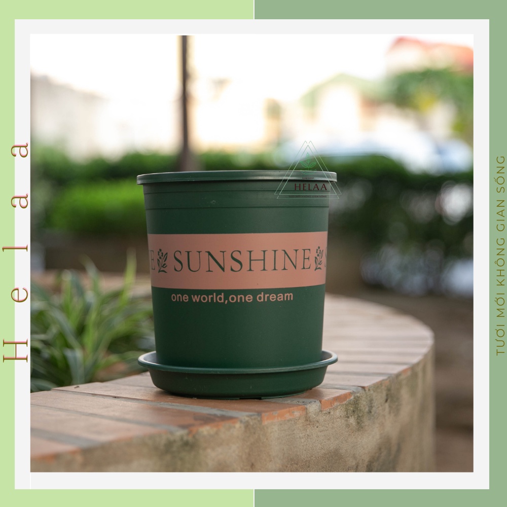Chậu Nhựa Trồng Hoa SUNSHINE 3 Gal, 1.5 Gal, 1 Gal, Cây Cảnh,Trang Trí Ban Công, Sân Vườn, Văn Phòng - Có Dĩa Kèm