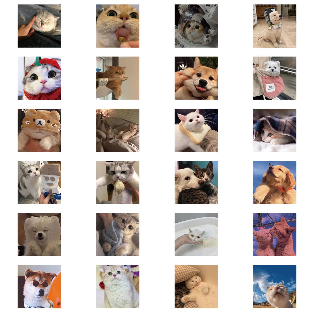 Bộ 48 miếng dán trang trí hình động vật dễ thương