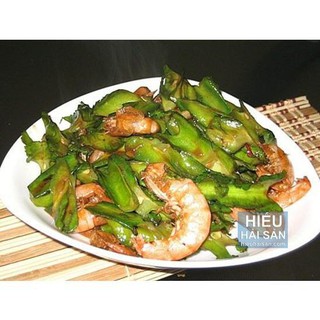 [HOT] Hạt Giống Đậu Rồng ( Đậu Khế ) - 10 hạt